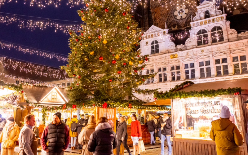 2025 Christmas Holiday Postcard 2025 Christmas Holiday Postcard