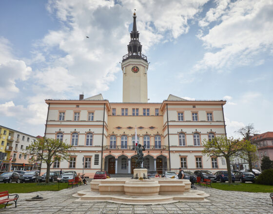 Strzelce Opolskie 1 © Błażej Duk Gmina Strzelce Opolskie