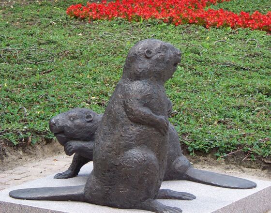 Denkmal Biber ©Hansestadt Demmin  Denkmal Biber ©Hansestadt Demmin