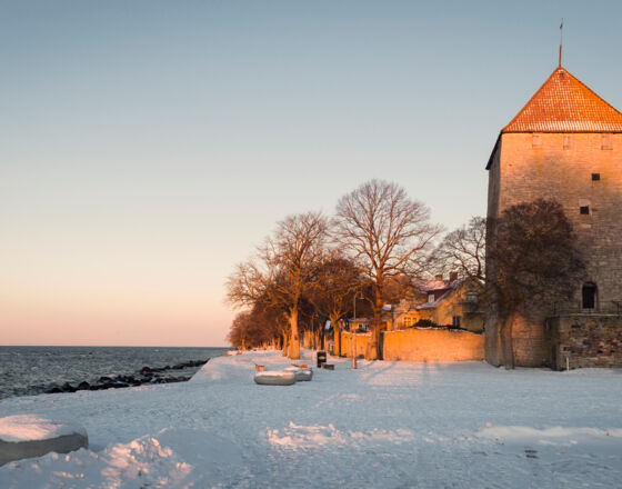 Gun powder tower, Visby © Anna Sundström Gun powder tower, Visby © Anna Sundström