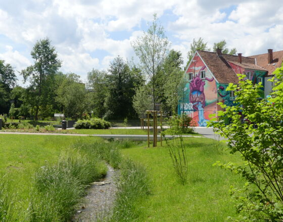 Mittleres Paderquellgebiet © Tourist Information Paderborn Mittleres Paderquellgebiet © Tourist Information Paderborn