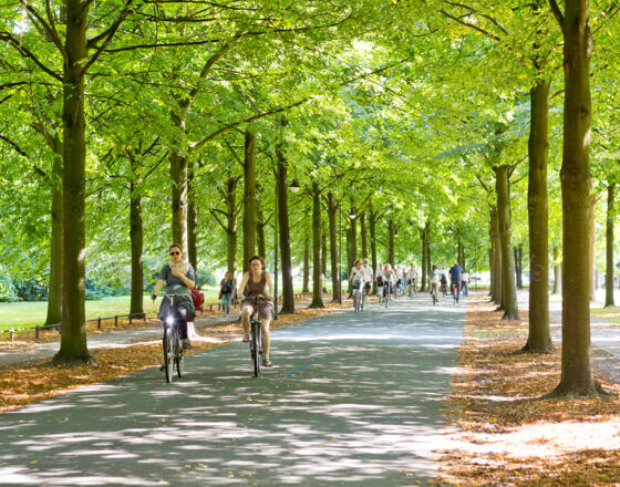 Promenade Münster © Ralf Emmerich Promenade Münster © Ralf Emmerich