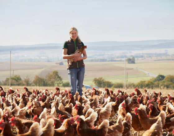 Agriculture in Brakel ©Matthias Groppe, Stadt Brakel Agriculture in Brakel ©Matthias Groppe, Stadt Brakel