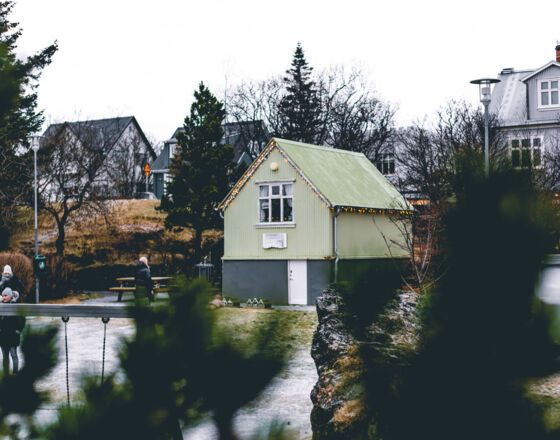 051220_Jolathorpid (11 of 42) 051220_Jolathorpid (11 of 42)