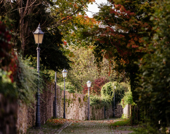 Stadtmauer_Osterode_Daniel_Li Stadtmauer_Osterode_Daniel_Li