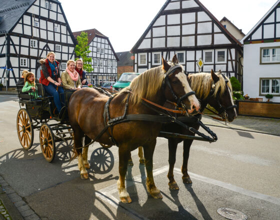 Eselmarkt in Rüthen mit Kutschfahrten Foto Zoomfaktor Eselmarkt in Rüthen mit Kutschfahrten Foto Zoomfaktor