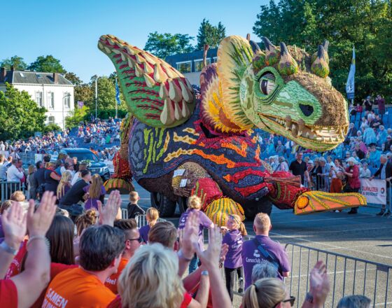 Fruitcorso © Gemeinde Tiel Fruitcorso © Gemeinde Tiel