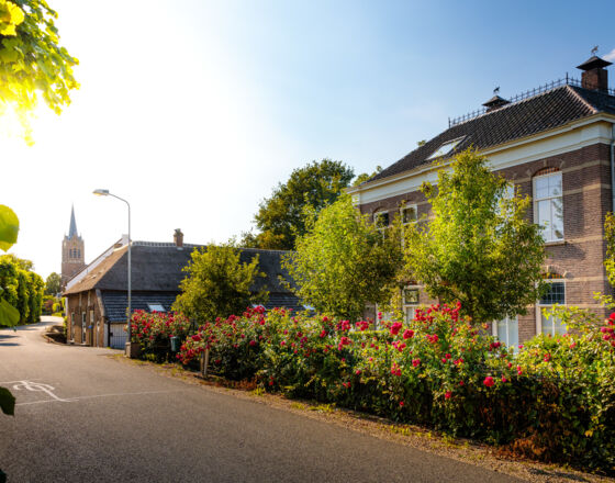 Hanzestad Maasbommel 3 Hanzestad Maasbommel 3