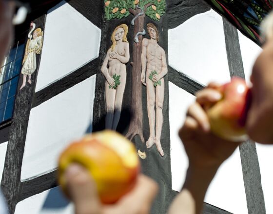 Adam- und Eva-Haus © Andreas Hub Adam- und Eva-Haus © Andreas Hub