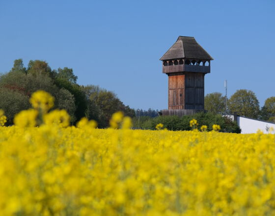 Neuenrade - Motte © Jan Riecke Neuenrade - Motte © Jan Riecke