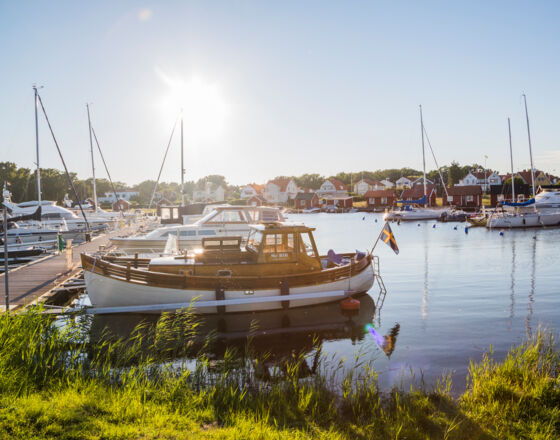 Kalmarsommar 3 © Linus Sandvide Kalmarsommar 3 © Linus Sandvide