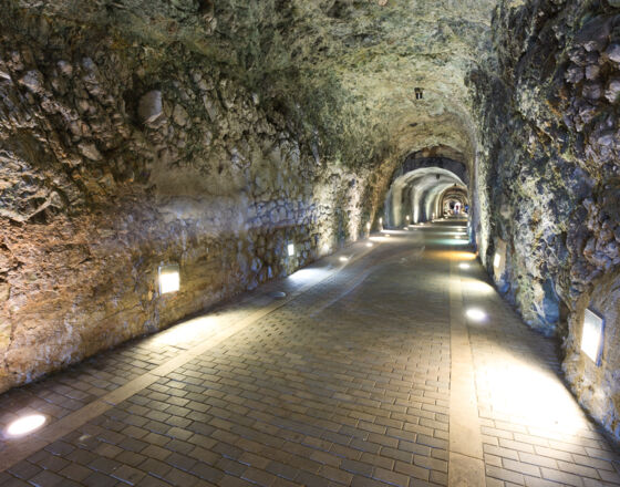 F.Sanchoyarto_Laredo.068 © Ayuntamiento de Laredo F.Sanchoyarto_Laredo.068 © Ayuntamiento de Laredo