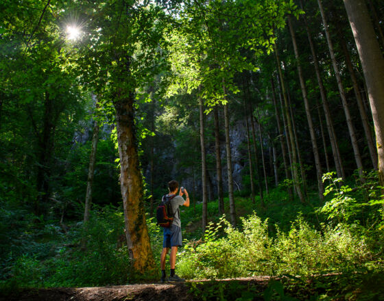 Hönnepfad Balve ©Hans-Peter Kappest, Sauerland- Tourismus e.V. Hönnepfad Balve ©Hans-Peter Kappest, Sauerland- Tourismus e.V.