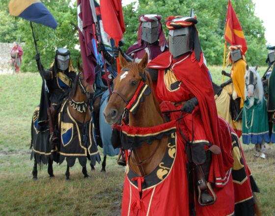 Medieval week, Visby ©Region Gotland Medieval week, Visby ©Region Gotland