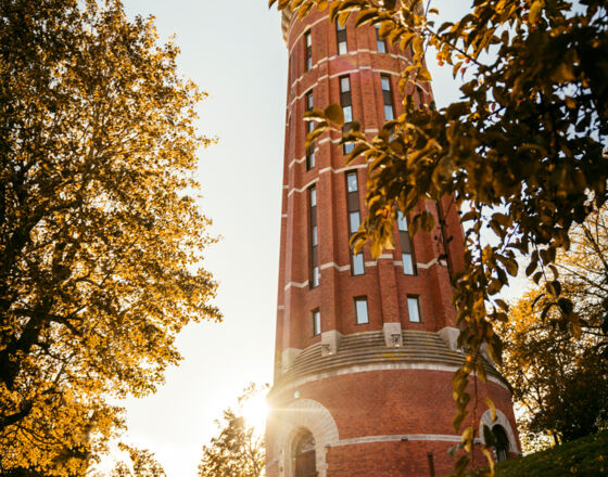 Kalmarfeeling 2 © Adam Humlesol Kalmarfeeling 2 © Adam Humlesol