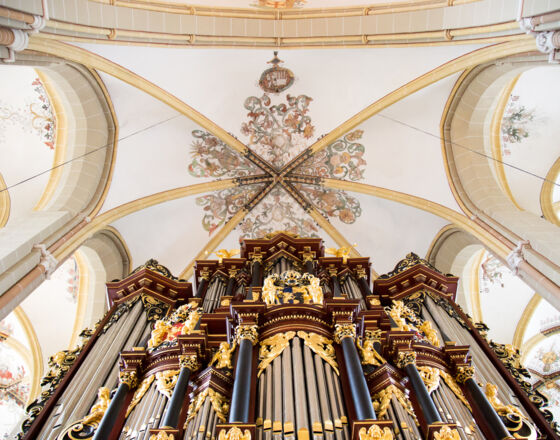 Walburgis Kirche Orgel