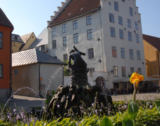 Medieval warehouse Visby © Region Gotland Medieval warehouse Visby © Region Gotland