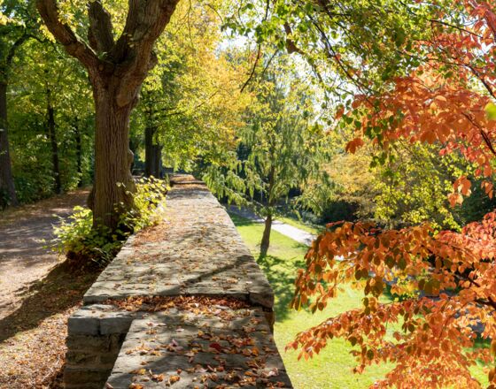 18-wallanlage-002 © Gero Sliwa 18-wallanlage-002 © Gero Sliwa