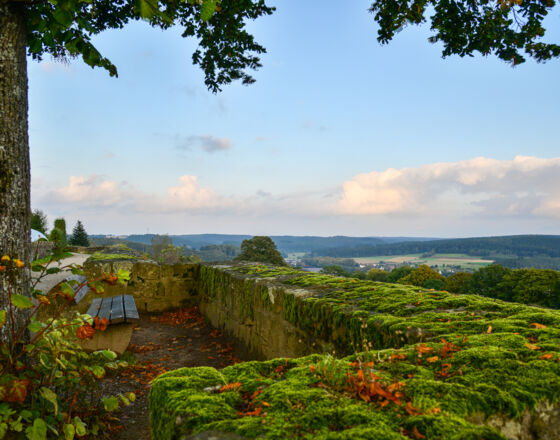 Blick von der Stadtmauer auf den Naturpark Arnsberger Wald Blick von der Stadtmauer auf den Naturpark Arnsberger Wald