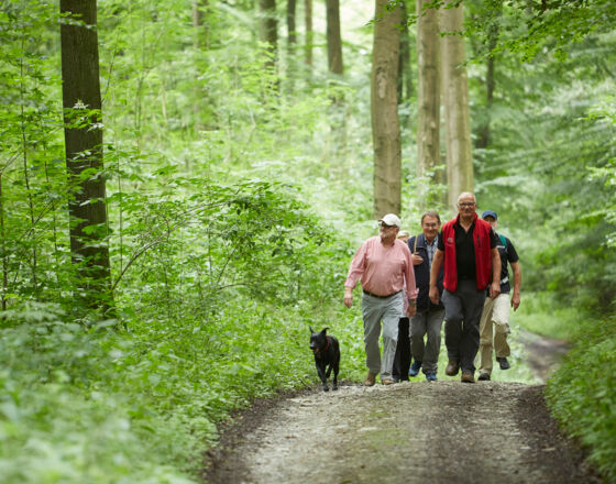 Hiking in Brakel ©Matthias Groppe, Stadt Brakel Hiking in Brakel ©Matthias Groppe, Stadt Brakel