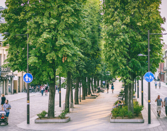 Kaunas 9 © A. Aleksandravičius Kaunas 9 © A. Aleksandravičius