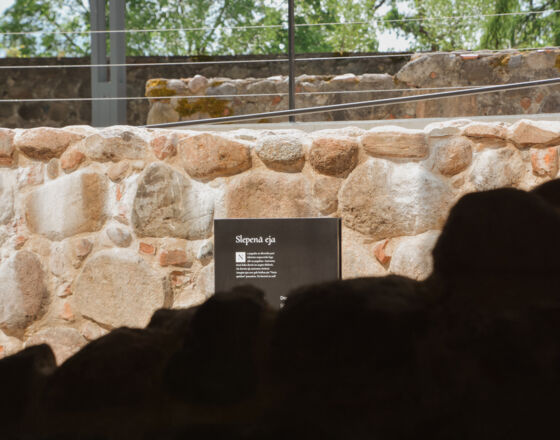 de Woldemer 1 de Woldemer 1