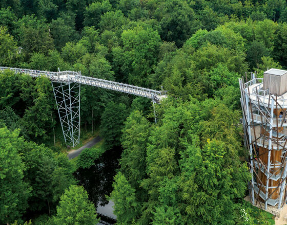 Baumwipfelpfad ©Baumwipfelpfad Bad Iburg UG Baumwipfelpfad ©Baumwipfelpfad Bad Iburg UG