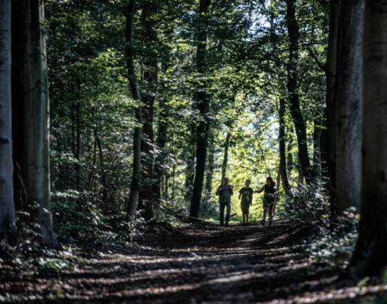 Barfußpfad Waldweg ©WFG Emmerich mbH Barfußpfad Waldweg ©WFG Emmerich mbH
