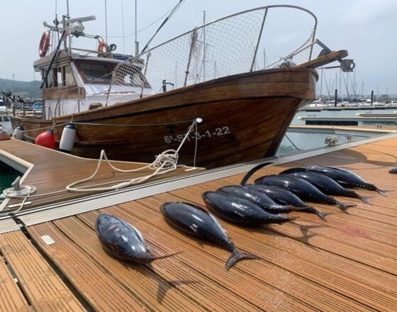 fishing port © Ayuntamiento de Laredo fishing port © Ayuntamiento de Laredo
