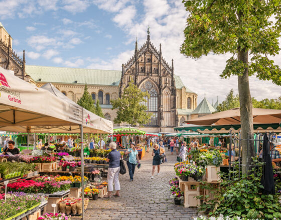 Domplatz Münster Wochenmarkt