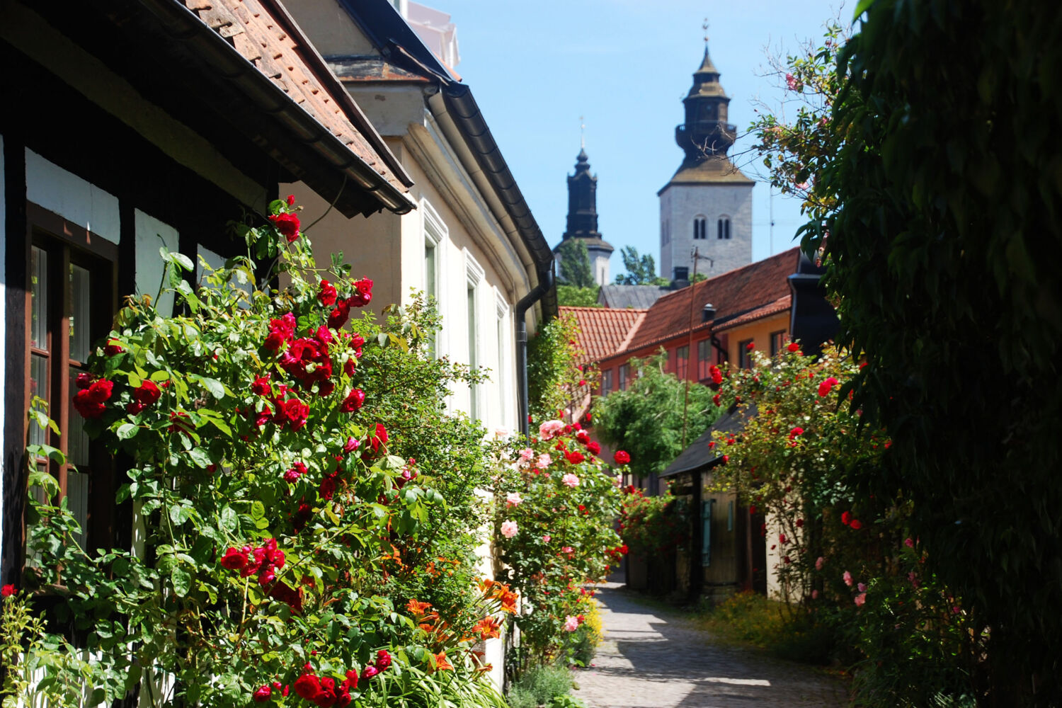 Visby Tourism