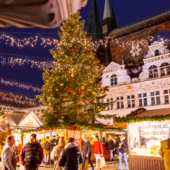 L&uuml;beck_Weihnachtsmarkt auf dem Markt Tanne  &copy; LTM