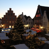 Warendorfer Weihnachtswäldchen